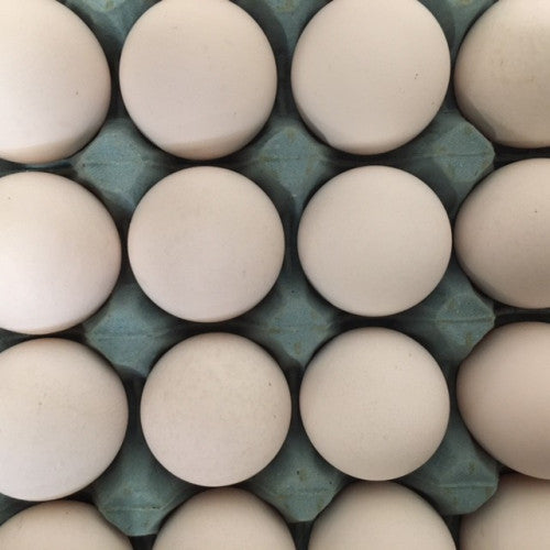 White Eggs 10pcs